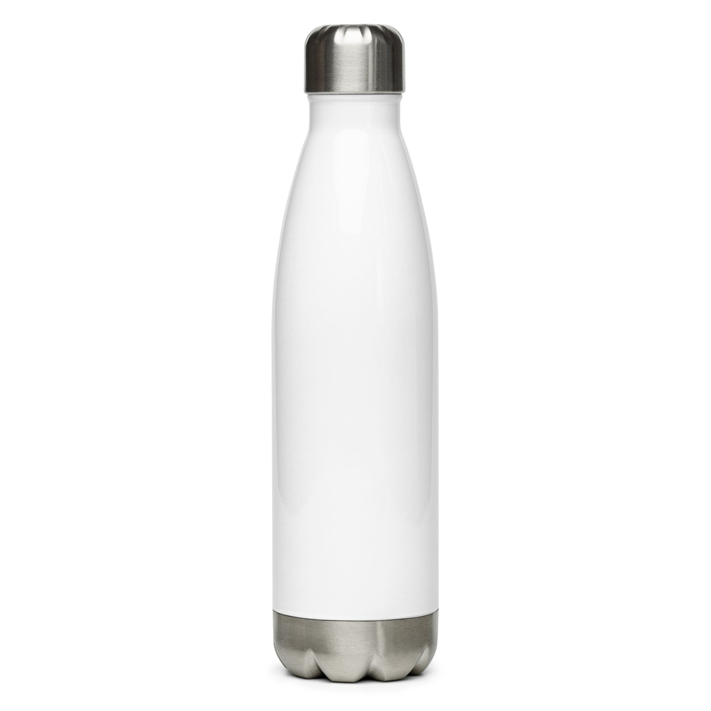Main Streets Are For Everyone Stainless Steel Water Bottle