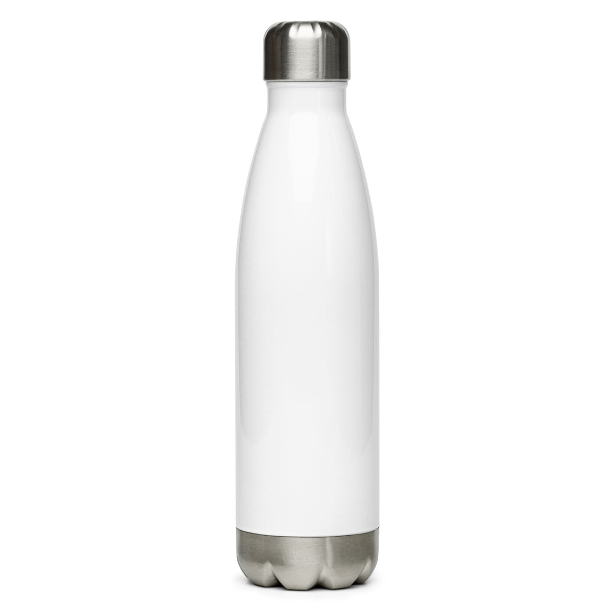 Main Streets Are For Everyone Stainless Steel Water Bottle